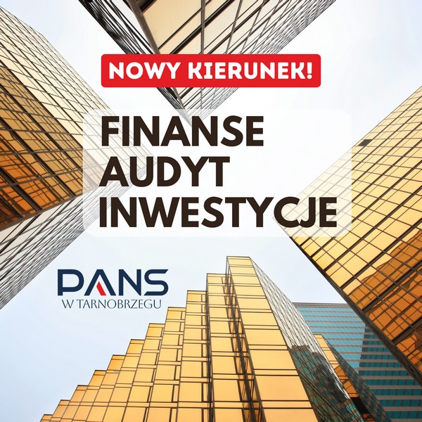grafika przedstawia szczyty wieżowców i napis Finanse, Audyt, Inwestycje